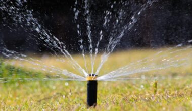 Protect your sprinklers from the Florida freeze. Here’s how