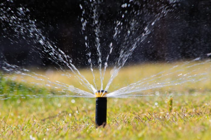 Protect your sprinklers from the Florida freeze. Here’s how