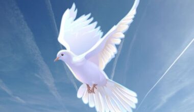 Obituary for Orlando Thomas Fineday, Sr.