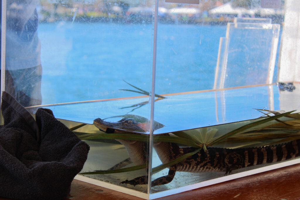 USFSP hosts annual St. Petersburg Science Festival – The Crow's Nest