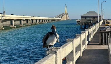 Retractable wall in Tampa Bay prevent storm surge flooding?