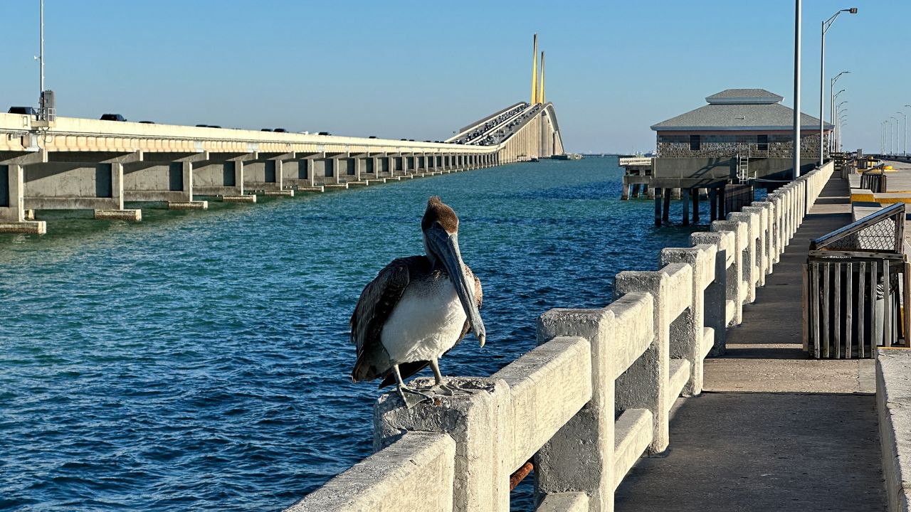 Retractable wall in Tampa Bay prevent storm surge flooding?