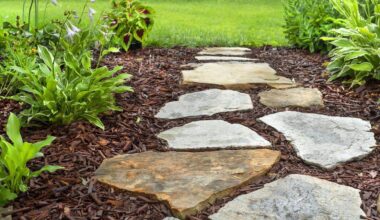 Working in the garden can carry a risk.