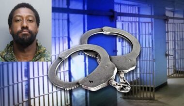 New York man arrested in Miami Beach with stolen truck, 7 dogs in ‘inhumane conditions’: Cops