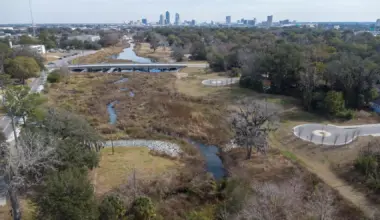 The landscape and skyline of Jacksonville as spring approaches.