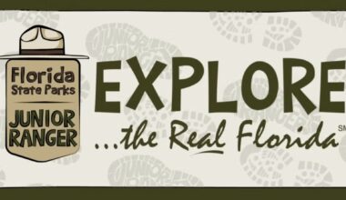 Jr Ranger NEW 768x318