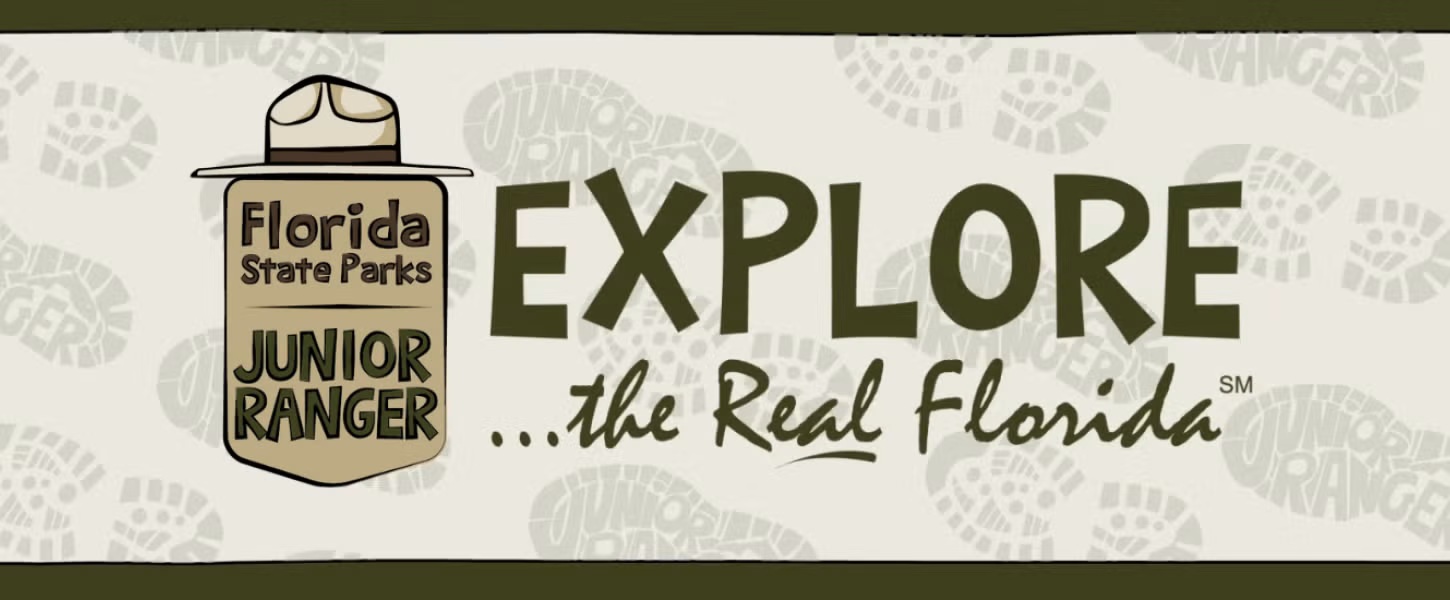 Jr Ranger NEW 768x318