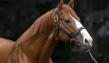 Justify Firster Unwritten Rule Debuts A Winner At Tampa