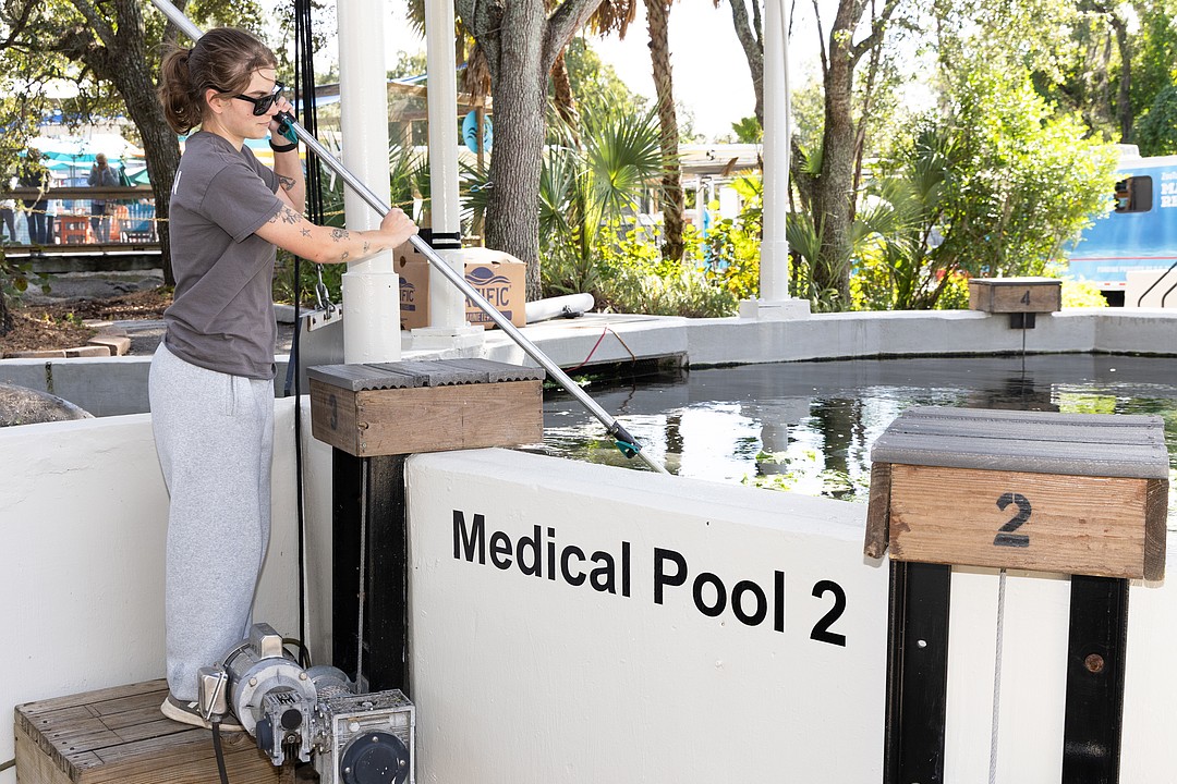 ZooTampa raises $33M toward largest expansion to date