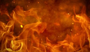 Escaped yard burn sparks large brush fire near Lake Jackson Sunday