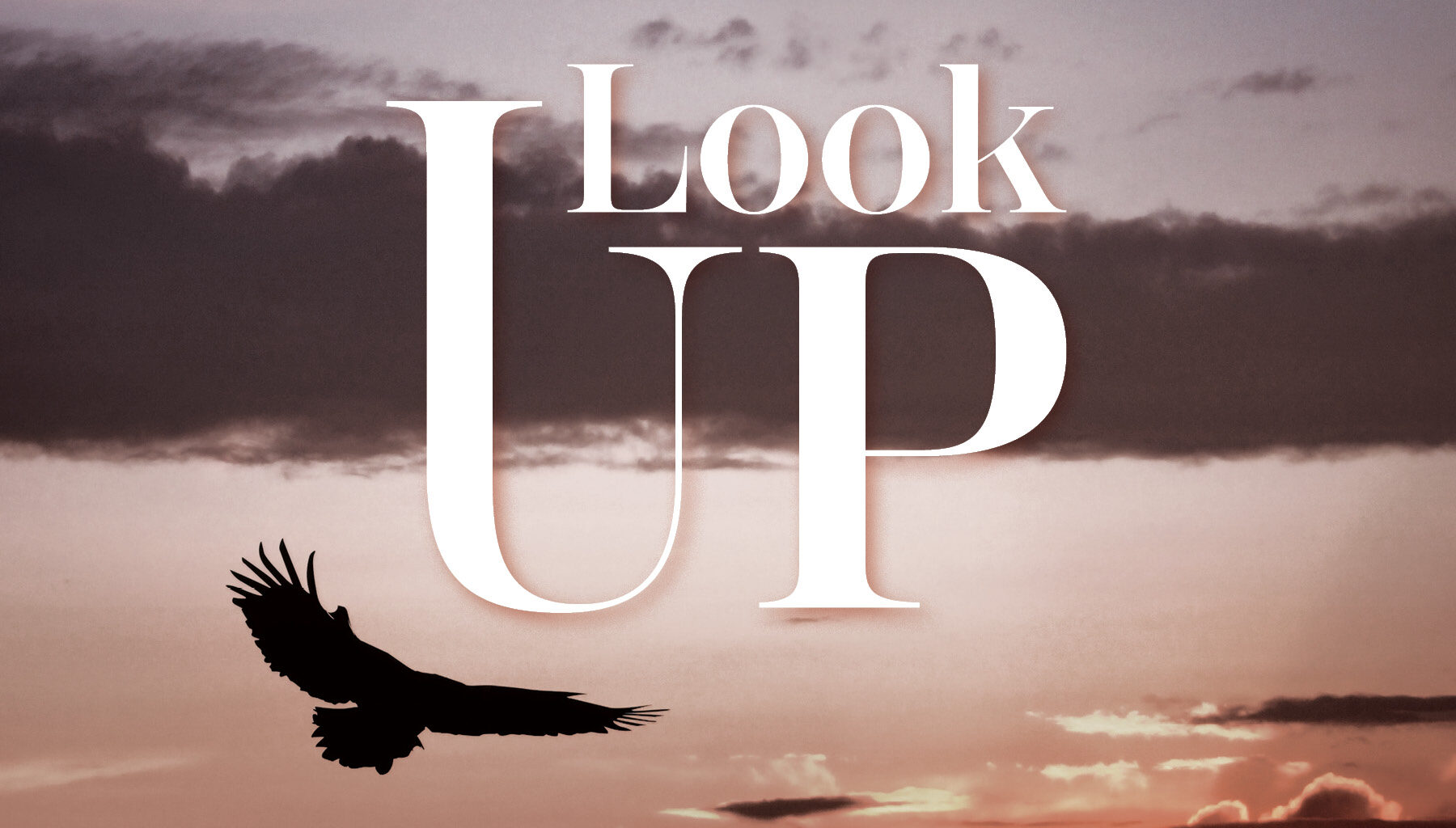 Background of eagle soaring with sky behind