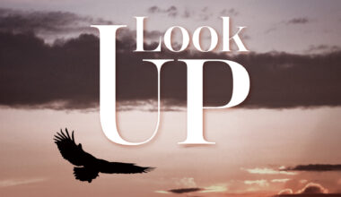 Background of eagle soaring with sky behind