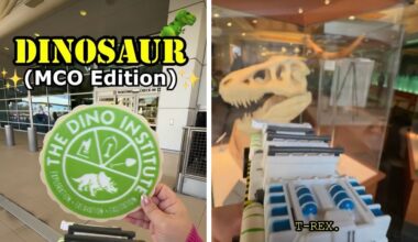 Orlando International Airport Shares Farewell Video Tribute to DINOSAUR