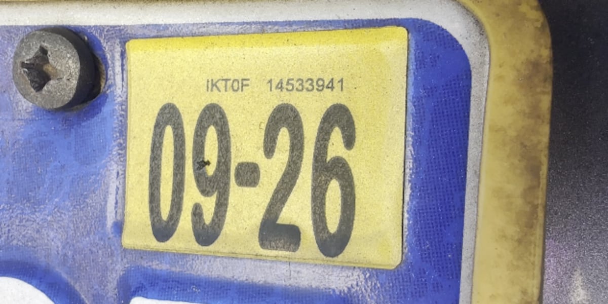Florida moves closer to eliminating yellow license plate stickers