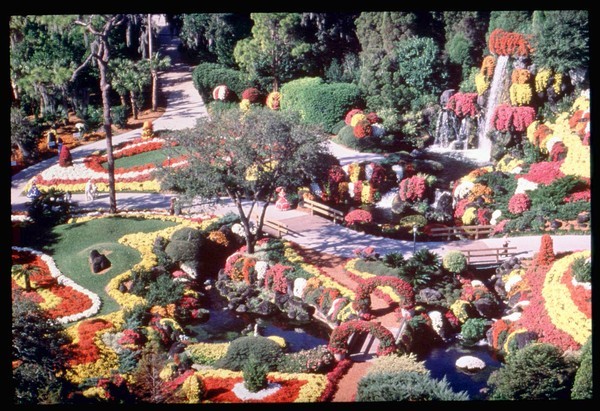 Cypress Gardens' annual 'Mum Festival'