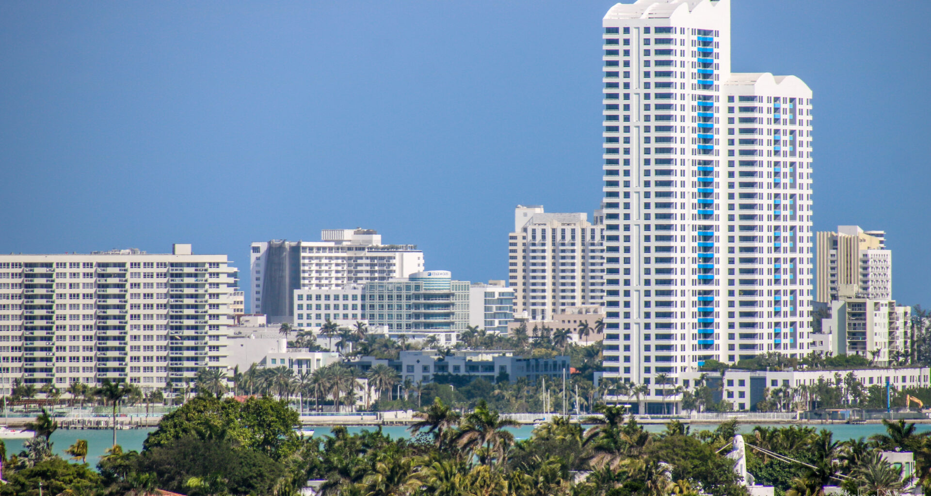 a shot of Miami's skyline with tropical trees in the foreground