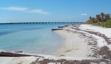 We Belong Here returns bigger than ever for a 5th landmark edition