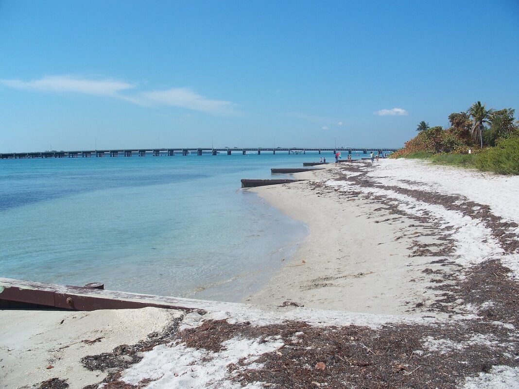 We Belong Here returns bigger than ever for a 5th landmark edition