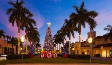 I’m From Florida! — Strike Magazines