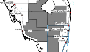 Freeze warning to be in effect for Miami-Dade, Broward after historic chill – NBC 6 South Florida