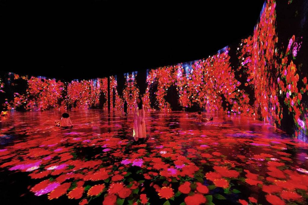 Superblue Miami immersive projections