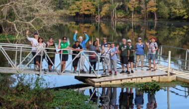 USF’s lifelong learners prove education doesn’t stop at graduation