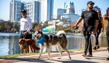 Paws in the Park returns to Lake Eola this weekend for 32nd year