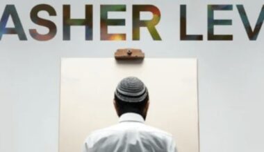 MY NAME IS ASHER LEV at Stageworks Theatre