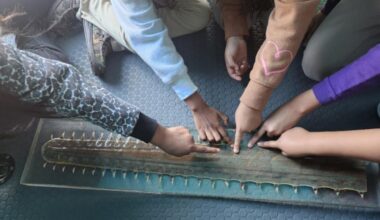 Refuge provides update on WoW - SANIBEL-CAPTIVA