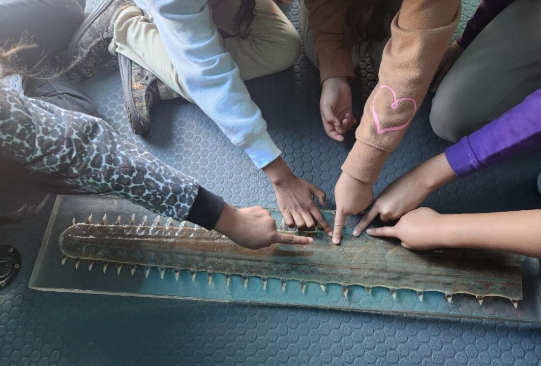 Refuge provides update on WoW - SANIBEL-CAPTIVA