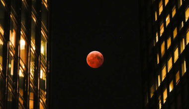 Total lunar eclipse to grace Southeast Georgia, Northeast Florida