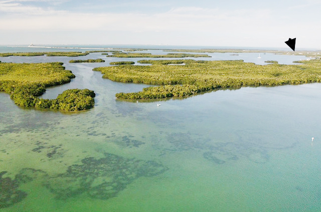 The Cruise Port: A Cautionary Tale