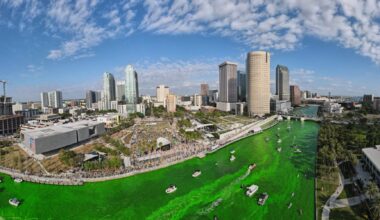 River O’Green returns to Tampa with new kids market