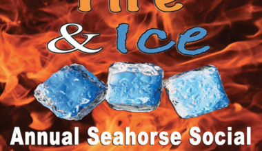 Island school’s PTA to host Seahorse Social - SANIBEL-CAPTIVA