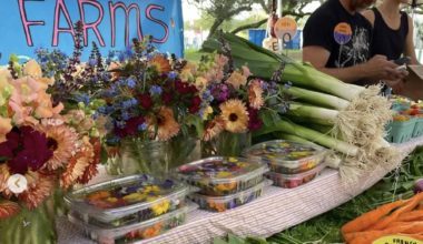 10 Best Farmers' Markets in Miami