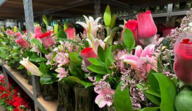 Taila Lustri, owner of Harry’s Famous Flowers in Orlando, says she has seen delayed deliveries due to northern snowstorms. (Spectrum News)