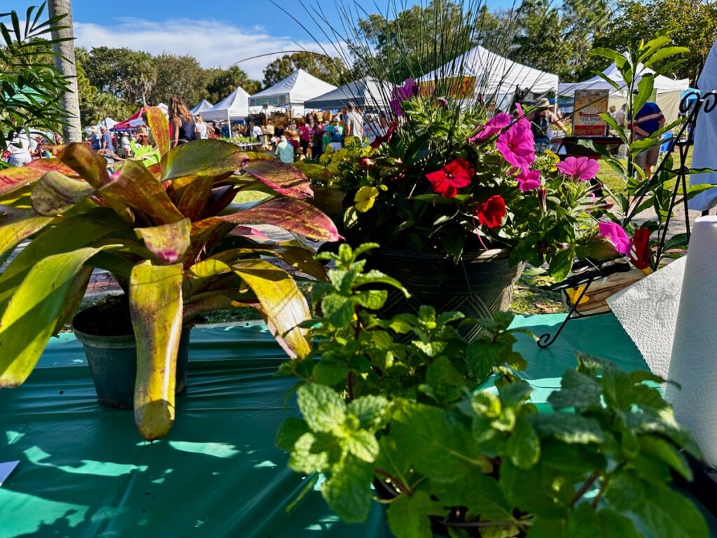 Shop plants and gardening finds at the Jensen Beach Garden Club’s Garden Expo March 7
