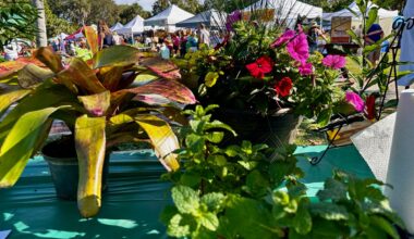 Jensen Beach Garden Club Garden Expo Blooms Bigger Than Ever