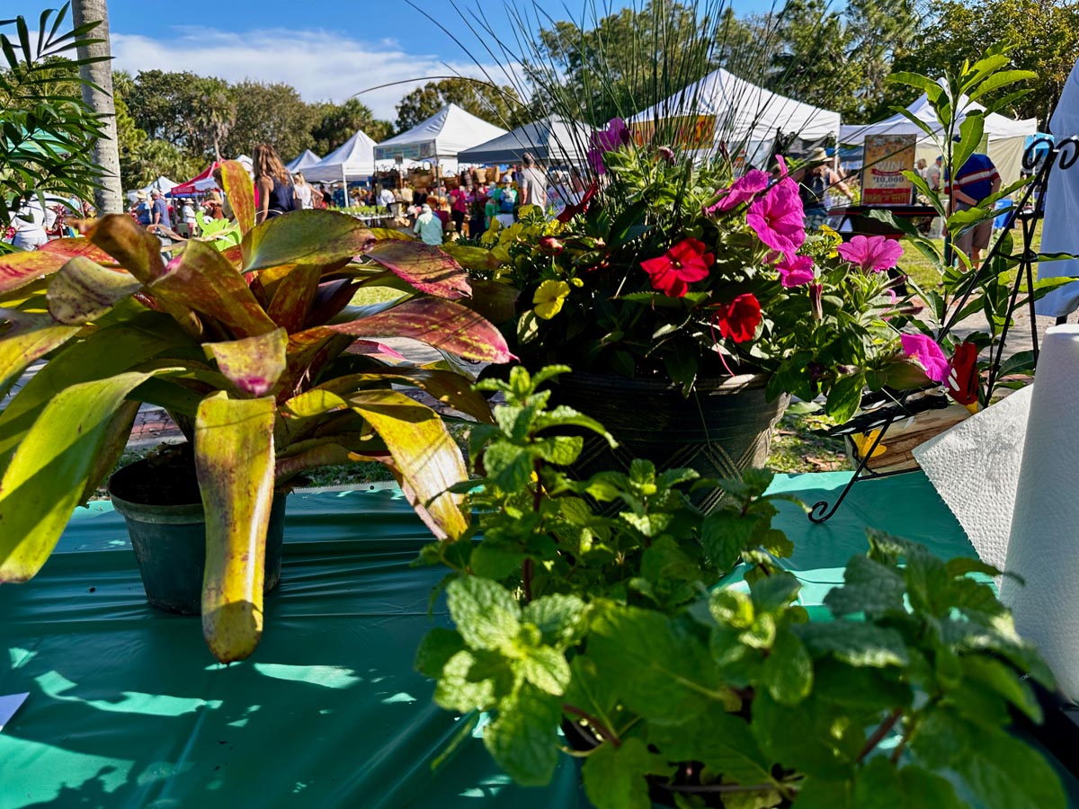 Jensen Beach Garden Club Garden Expo Blooms Bigger Than Ever