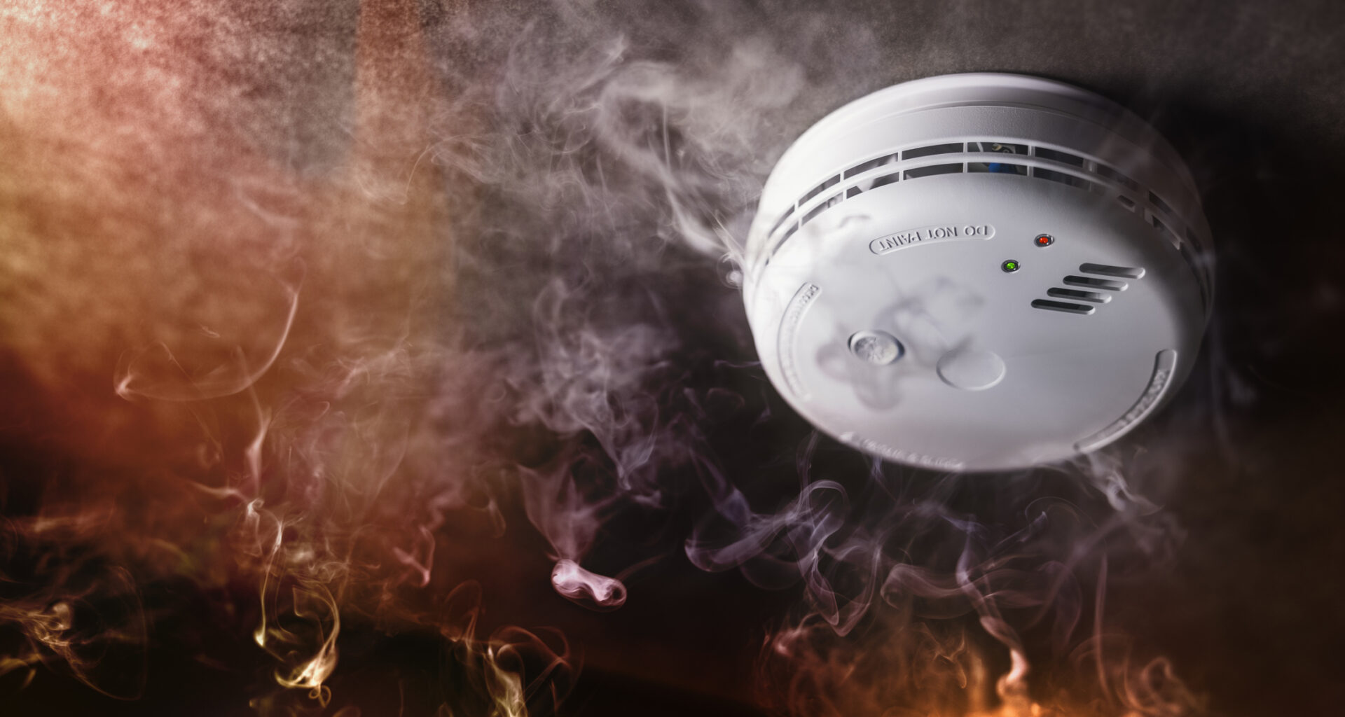 Smoke detector and fire alarm