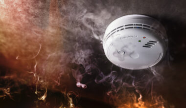 Smoke detector and fire alarm