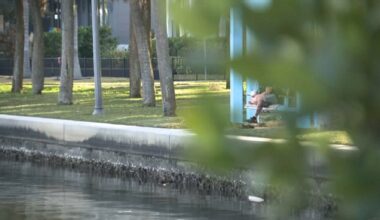 The city is putting together a Seawall Master Plan that would lay the groundwork for future seawall improvements. (Spectrum News image)