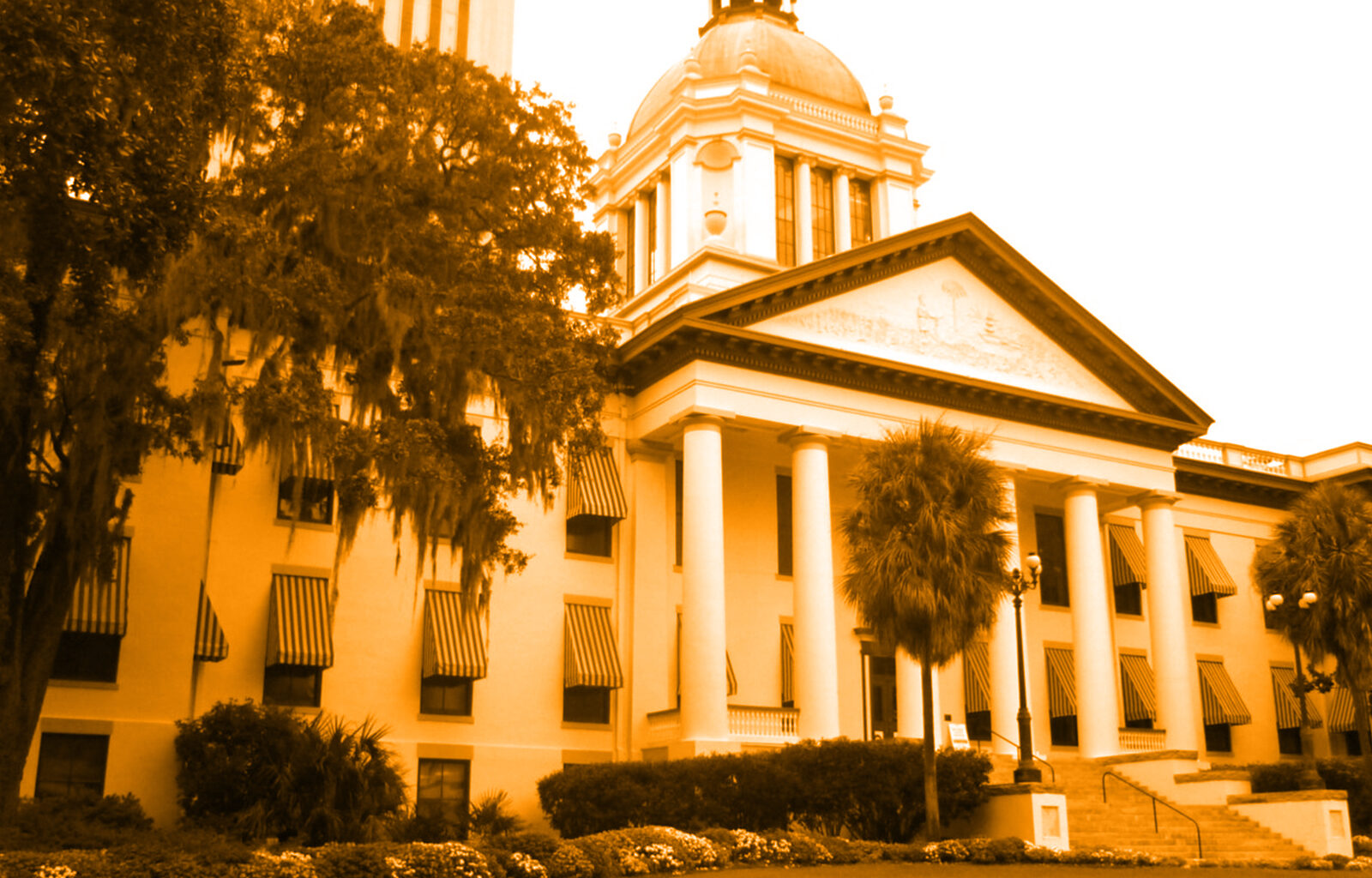 Sunburn Orange Tally (8)