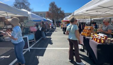 Customers browse vendors goods at the St. Pete Sunday Market