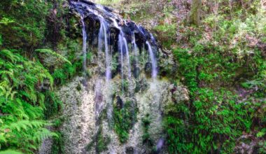Falling Waters State Park Has Florida’s Tallest Waterfall and a Butterfly Garden