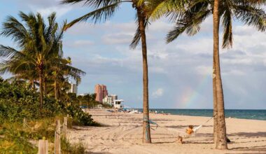 Spirit Airlines Reveals the 10 Most-searched Spring Break Destinations