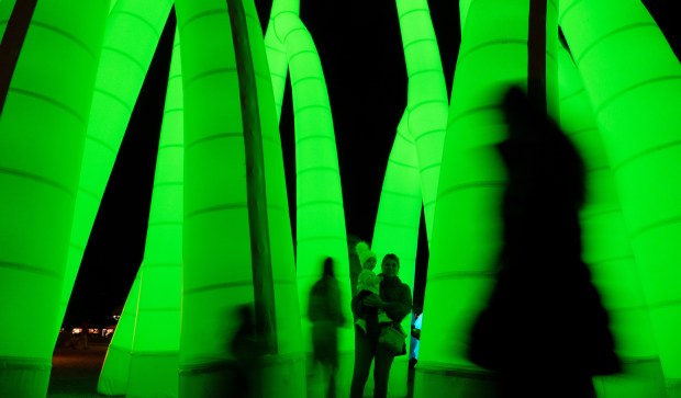 Part of IGNITE Broward 2026 installations at Reverend Samuel Delevoe Memorial Park in Fort Lauderdale, "Grove" by Pneuhaus is an immersive sculptural environment of illuminated columns branching overhead, inspired by underground root systems and the exchange of energy between trees. (Kip Reinsmith/Courtesy)