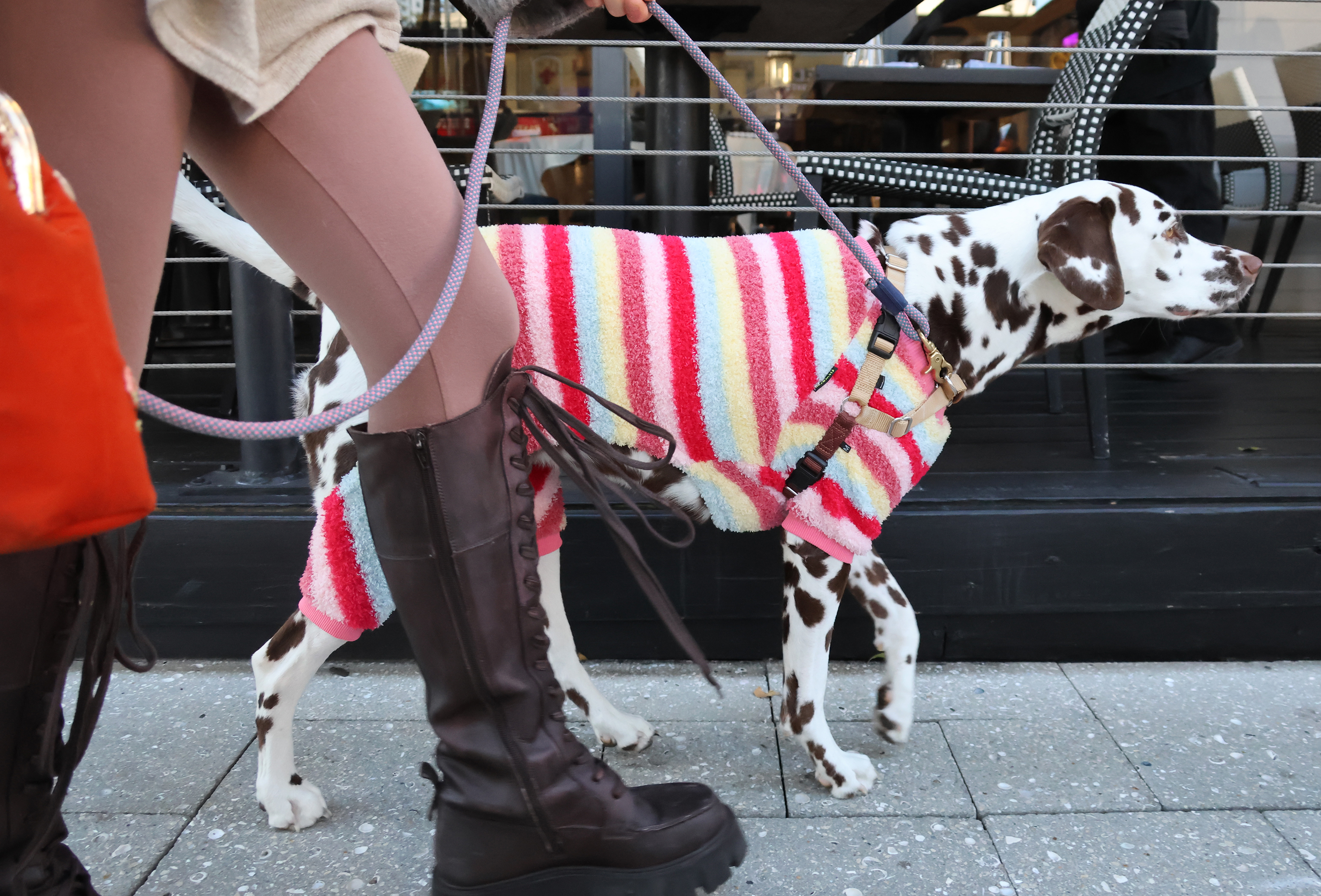 Las Olas, Fort Lauderdale â It's doggone cold in South...