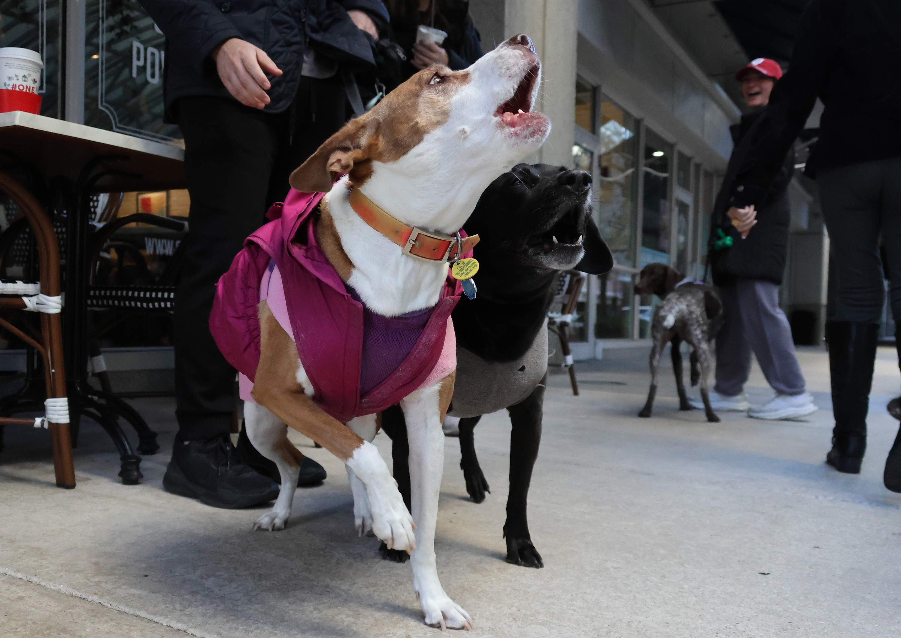 Las Olas, Fort Lauderdale â It's doggone cold in South...