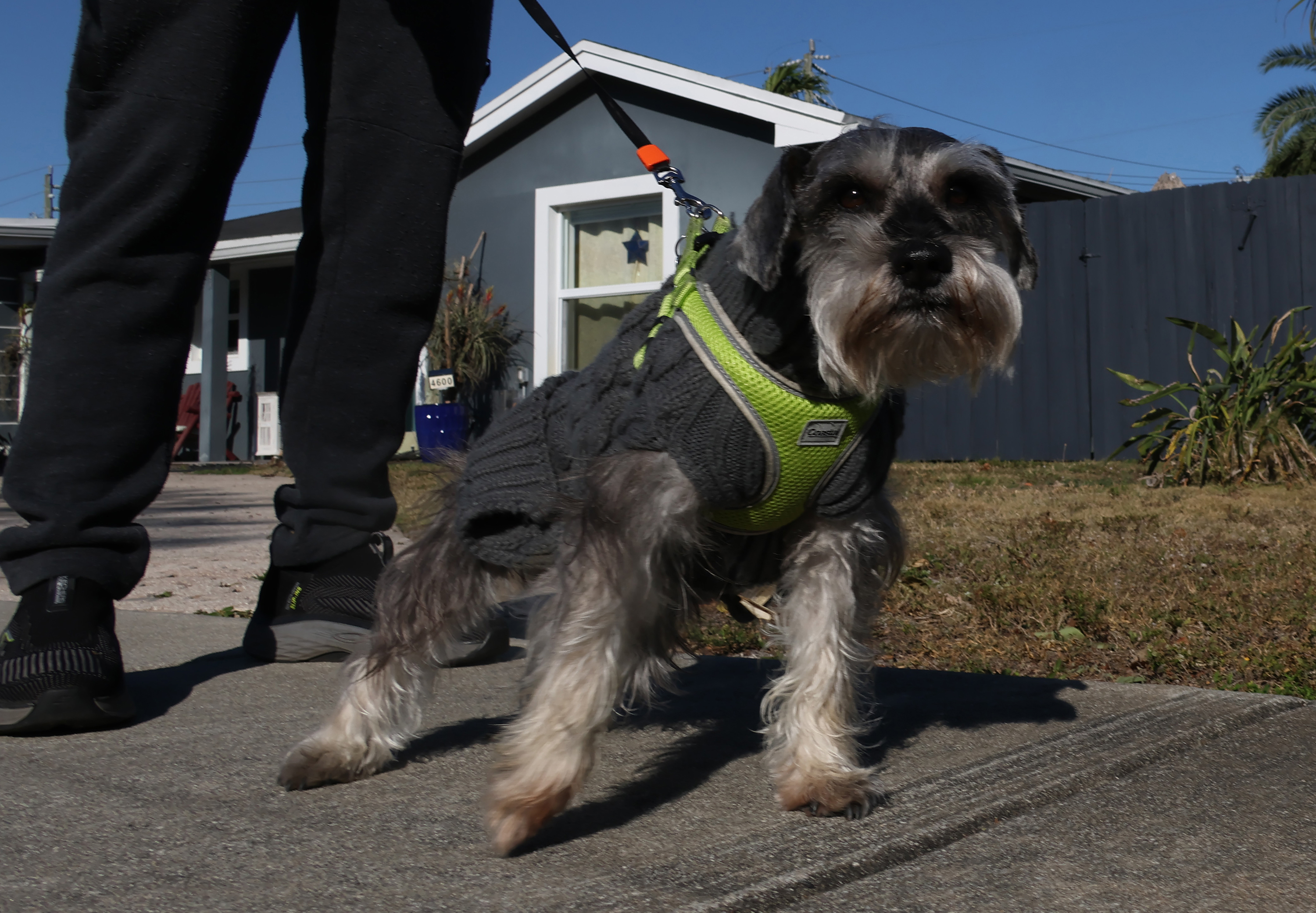 Oakland Park â It's doggone cold in South Florida, and...